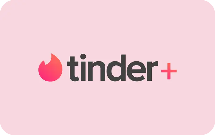 Tinder Plus 12 Meses